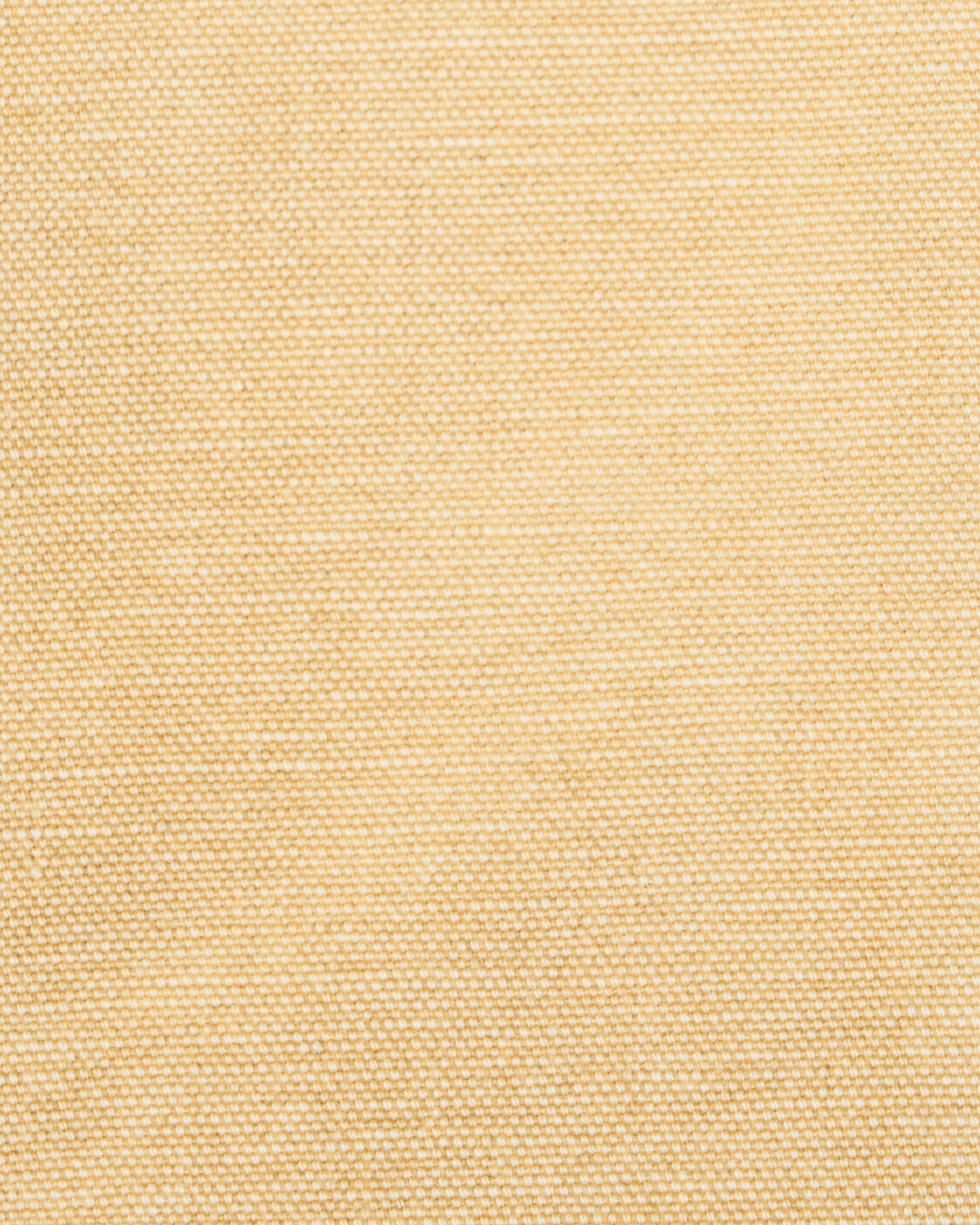 DUCK WORK JK 詳細画像 Beige 11