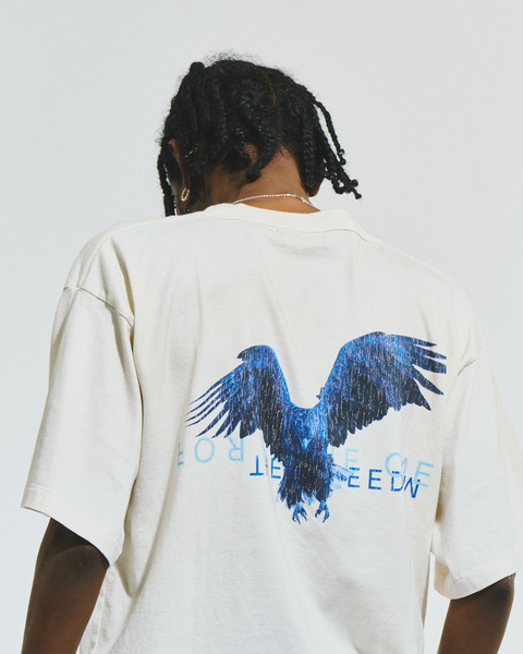 BLUE EAGLE TEE 詳細画像