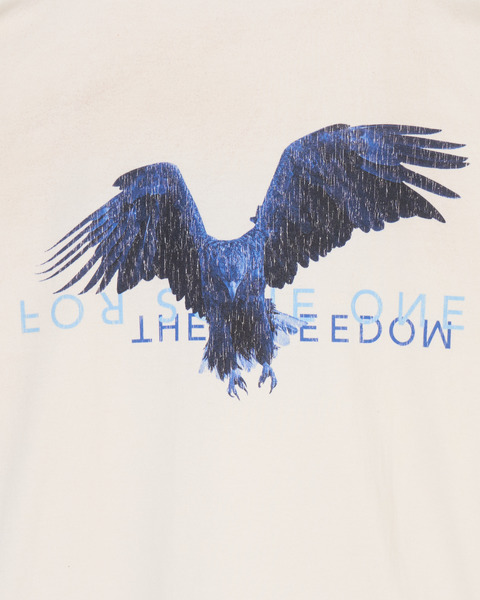 BLUE EAGLE TEE 詳細画像