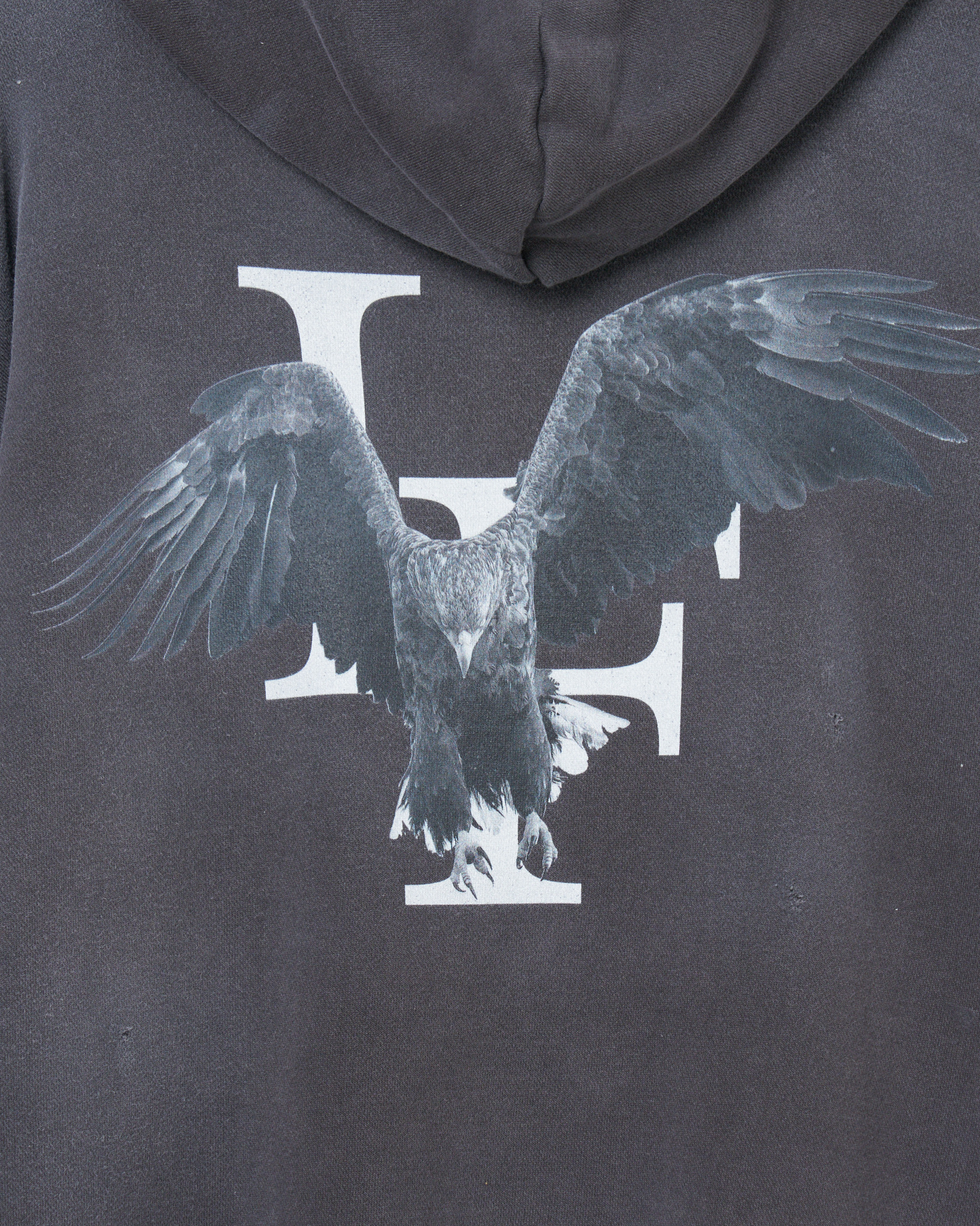 LF DAMAGE EAGLE  HOODIE 詳細画像 Black 3