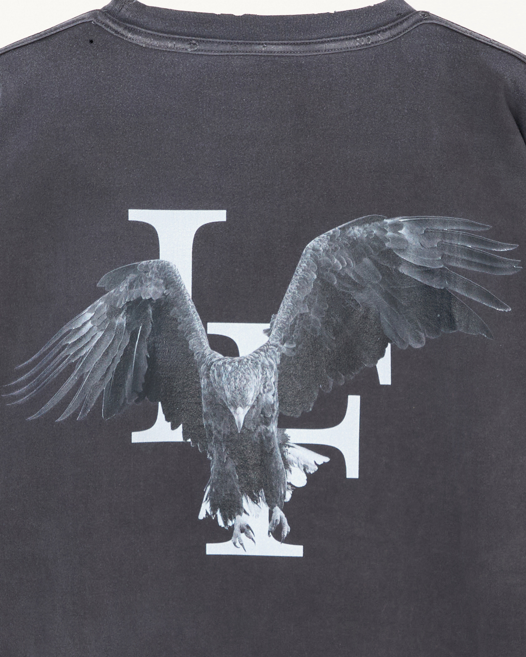 LF DAMAGE EAGLE  TEE 詳細画像 Black 3